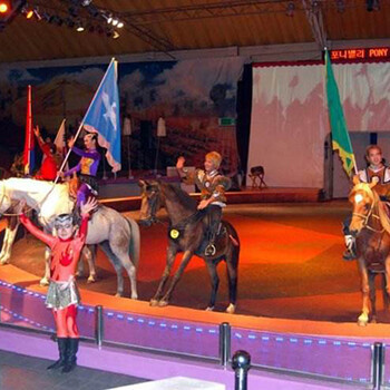 本地哪里有馬戲團(tuán)商演