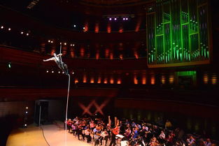 費城迎來視聽盛宴：馬戲團(tuán)演出租賃服務(wù)引爆全城熱潮