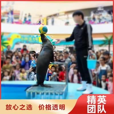 寧德市霞浦縣轄區內雜耍演出與動物展覽服務介紹
