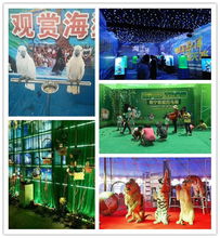 租賃大型馬戲表演 以負責任的態度體驗動物演藝